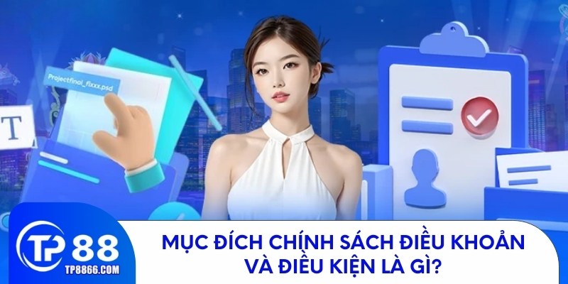 Mục đích chính sách điều khoản và điều kiện là gì?