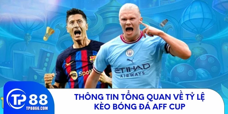 Thông tin tổng quan về tỷ lệ kèo bóng đá aff cup