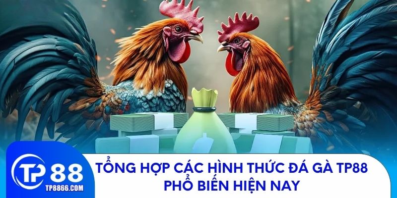 Các loại hình đá gà phổ biến tại TP88 hiện nay